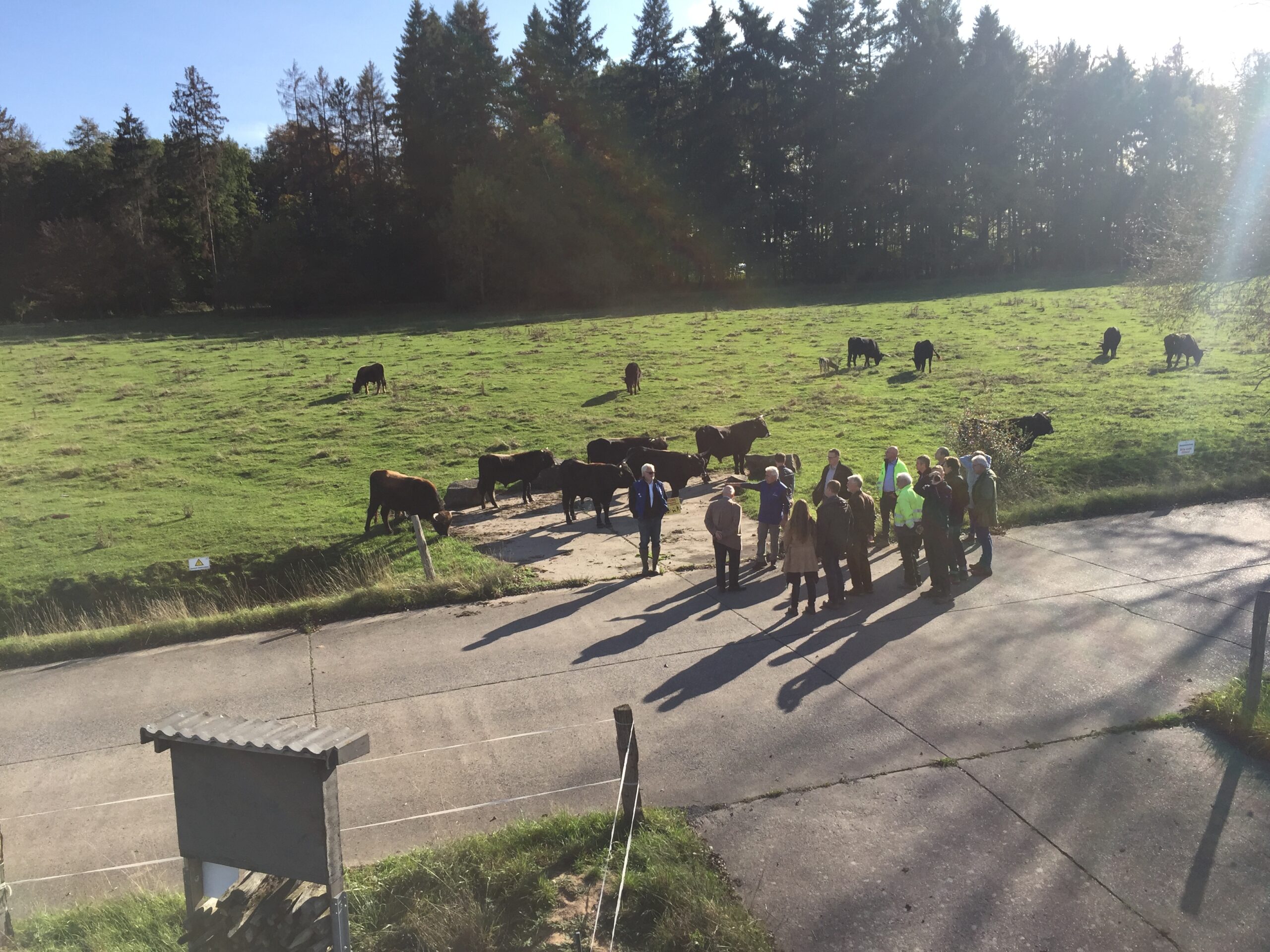 Gruppe mit Tieren